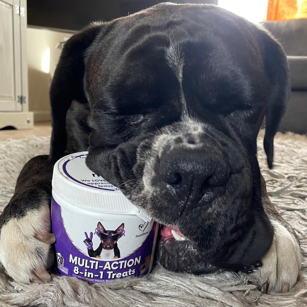 120 tasty calming treats for stress, anxiety & fear | 8-in-1 Multi-Action Treats