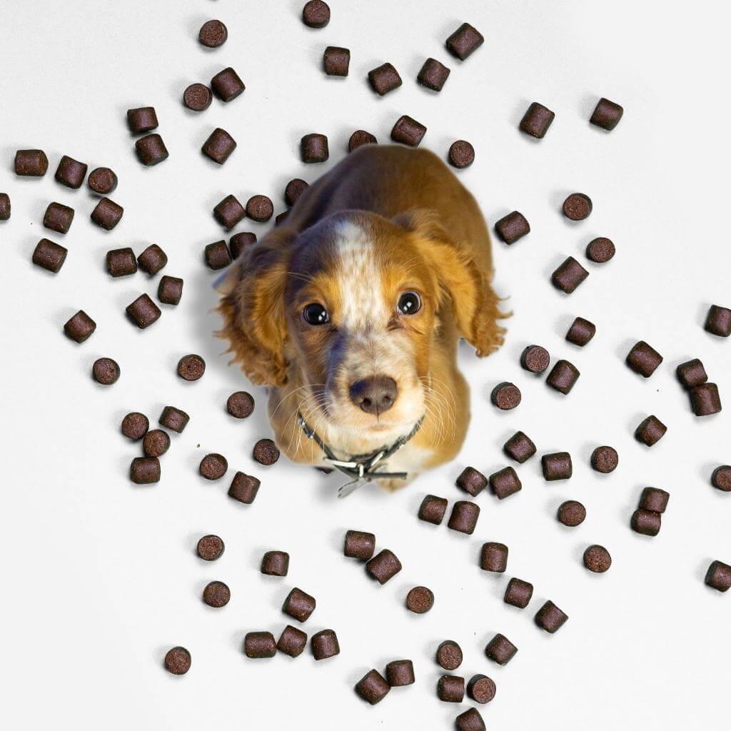 120 tasty calming treats for stress, anxiety & fear | 8-in-1 Multi-Action Treats